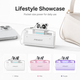 PISEN TP-D139 MINI POWER BANK